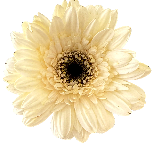 3cf9ba64-b023-4759-a835-ee37884f5bab 1